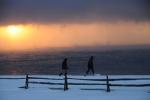 People-Winter 60-24-01680