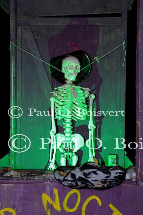 Holiday-Halloween 50-15-00212