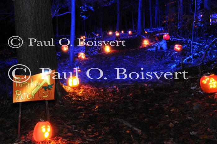 Holiday-Halloween 50-15-00218