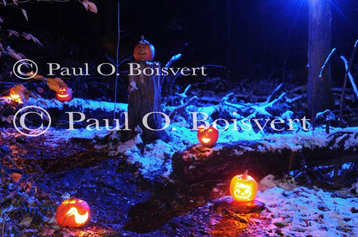 Holiday-Halloween 50-15-00219