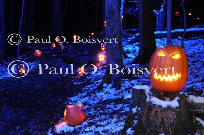 Holiday-Halloween 50-15-00220