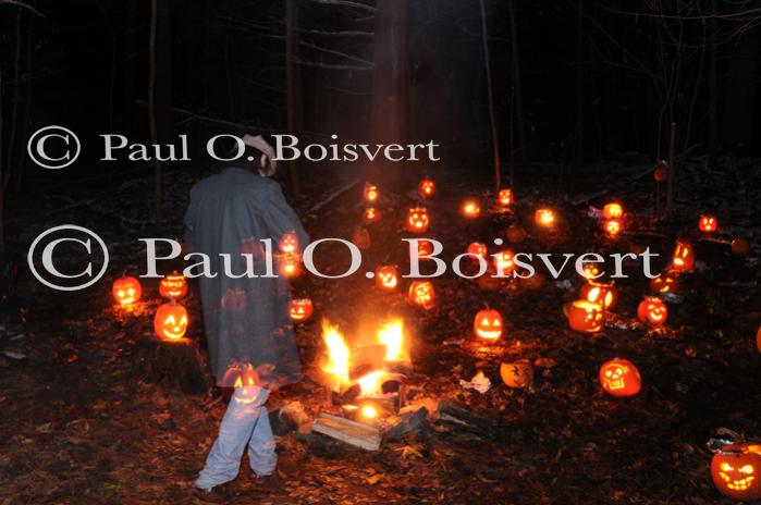 Holiday-Halloween 50-15-00222