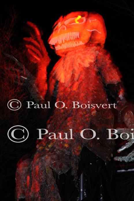 Holiday-Halloween 50-15-00235
