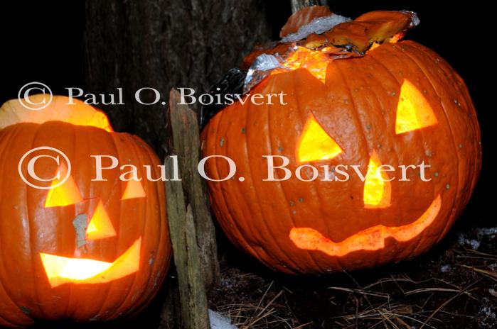 Holiday-Halloween 50-15-00242
