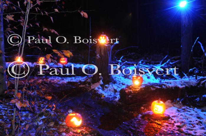 Holiday-Halloween 50-15-00246