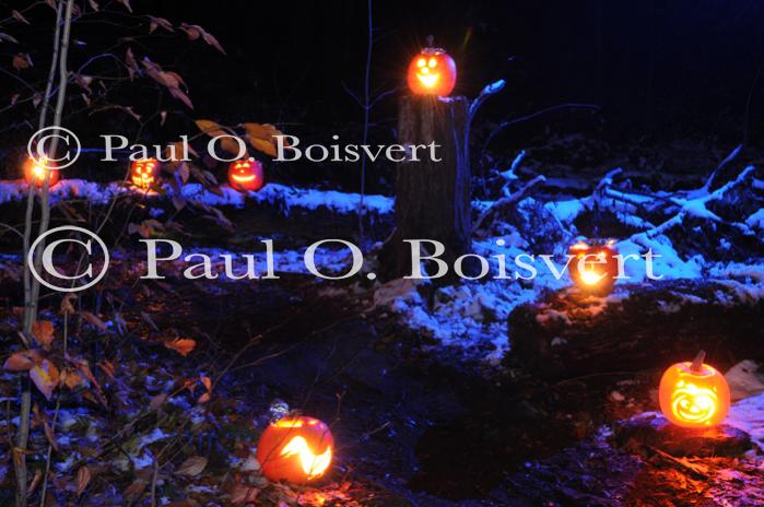 Holiday-Halloween 50-15-00247