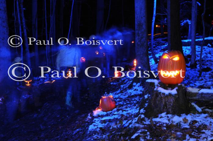 Holiday-Halloween 50-15-00248
