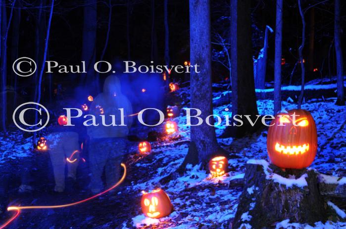 Holiday-Halloween 50-15-00251