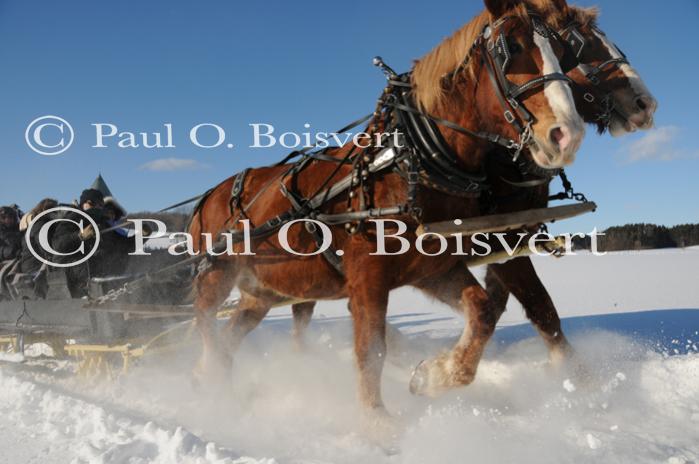 Shelburne Farms Winterfest 30-24-00017