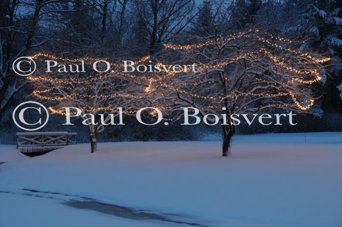 Holiday-Christmas 50-05-01929