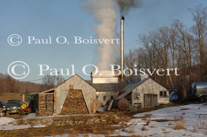 Maple Sugaring 30-20-11867