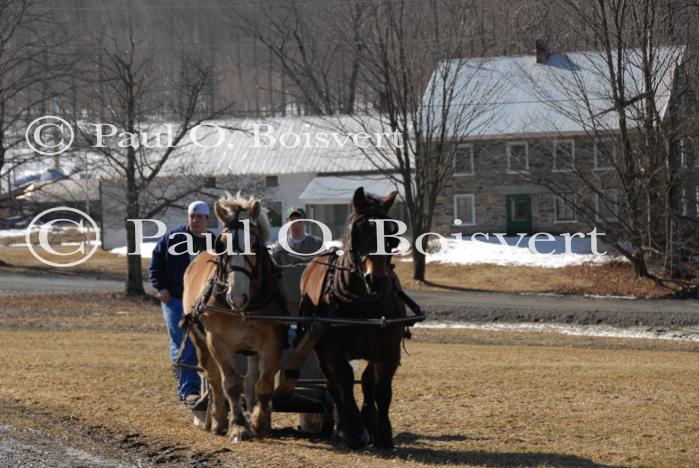 Maple Sugaring 30-20-11892