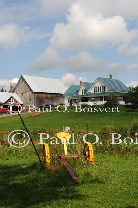 Scenery-Summer 70-20-04407