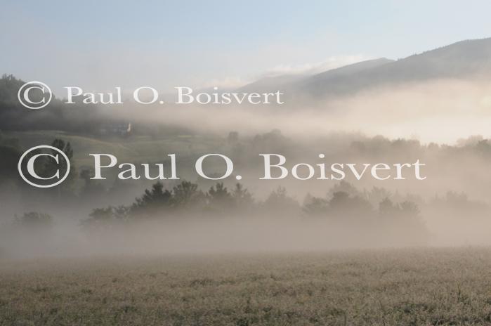 Scenery-Spring 70-10-05165