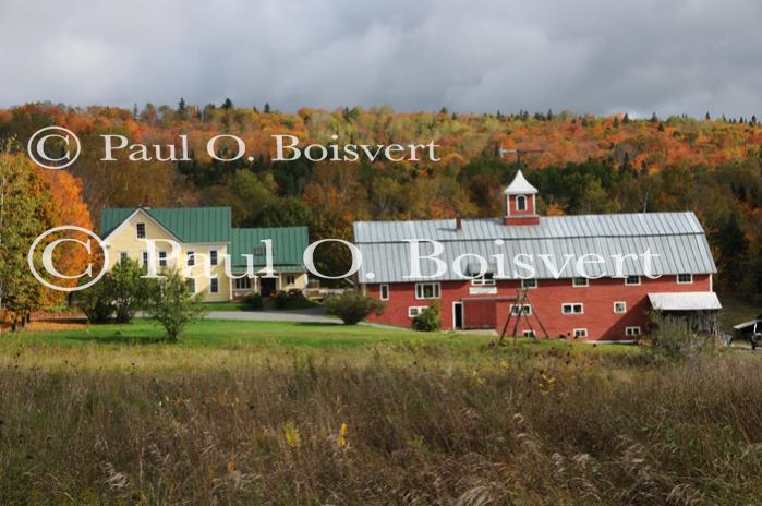 Scenery-Fall 70-05-14481