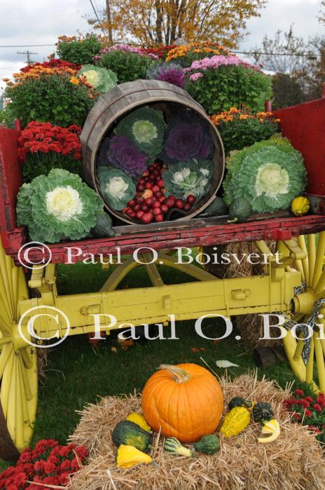 Scenery-Fall 70-05-14484