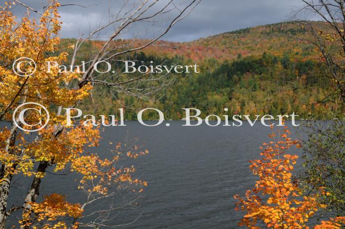 Scenery-Fall 70-05-14492