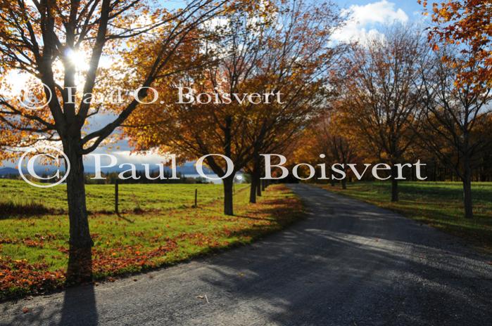 Scenery-Fall 70-05-14539