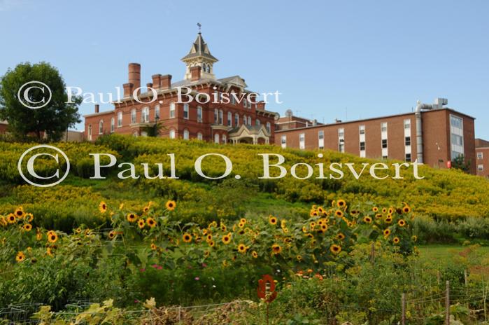 Burlington 81-20-07608