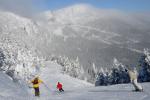 Stowe Mountain Resort 75-60-00137