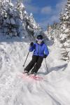 Stowe Mountain Resort 75-60-00157