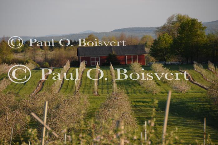 Scenery-Spring 70-10-05185