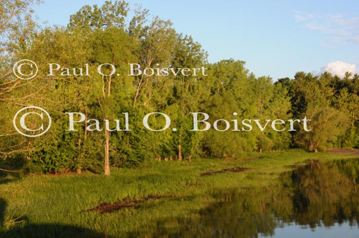 Lake Champlain 53-00-10441