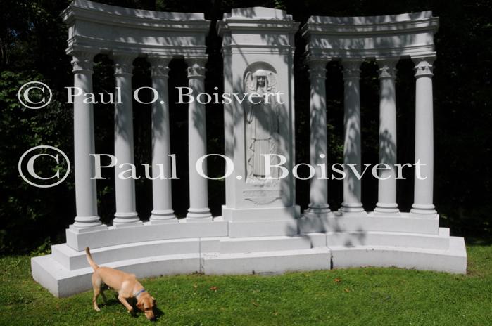 Piper-Photo Dog 30-28-00057