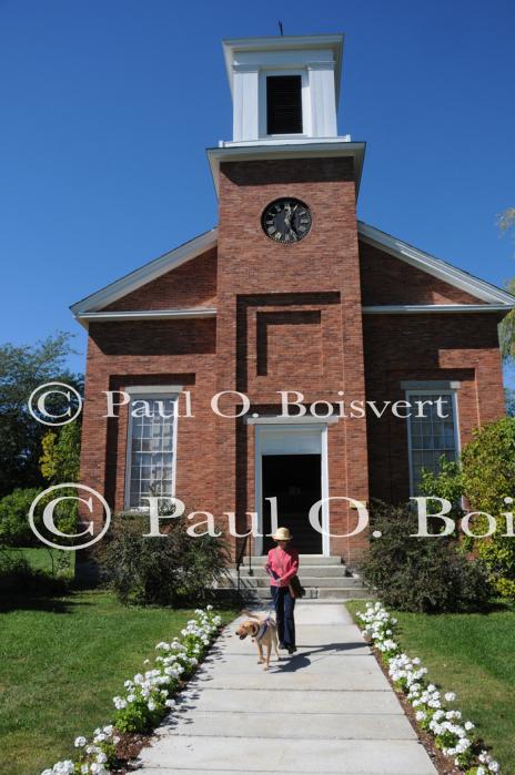 Piper-Photo Dog 30-28-00071