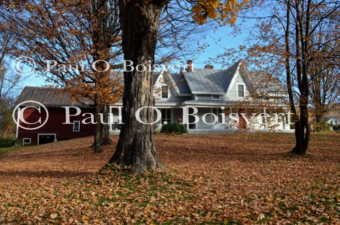 Architectural-Fall 10-10-01578