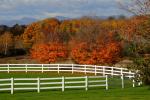 Scenery-Fall 70-05-14602