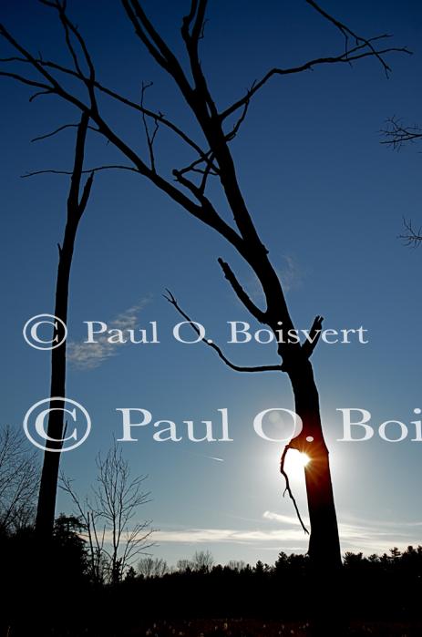 Sunset-Fall 80-01-00081