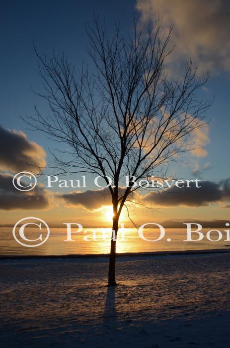 Sunset-Winter 80-15-01289