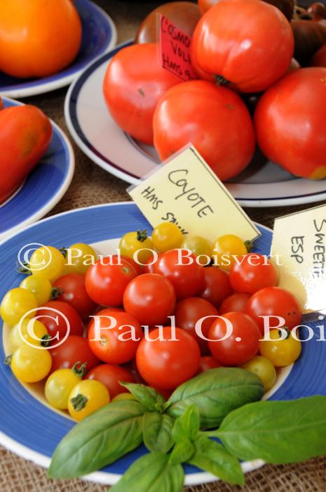 Farm-Garden 30-15-02279