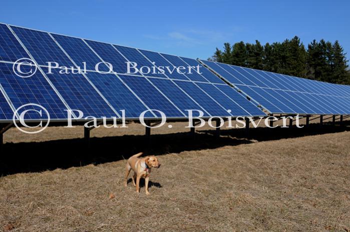 Farm-Shelburne Farms 30-25-02146