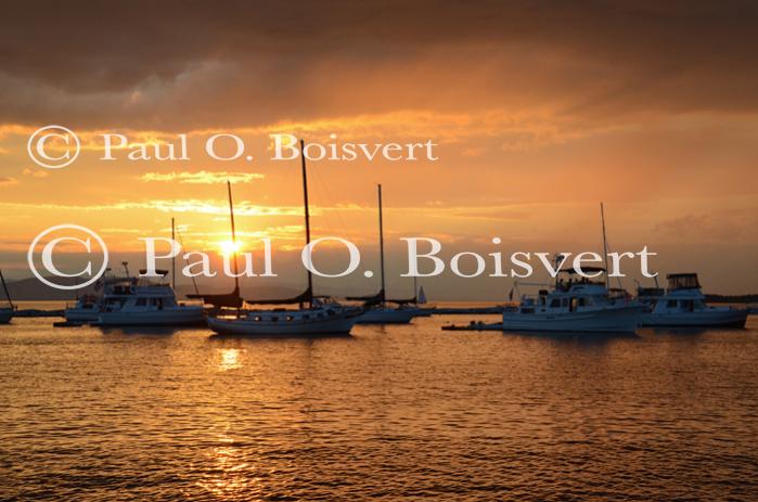 Burlington 81-20-07682