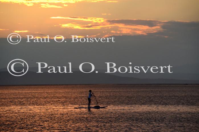 Burlington 81-20-07687