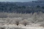 Scenery-Winter 70-30-06034