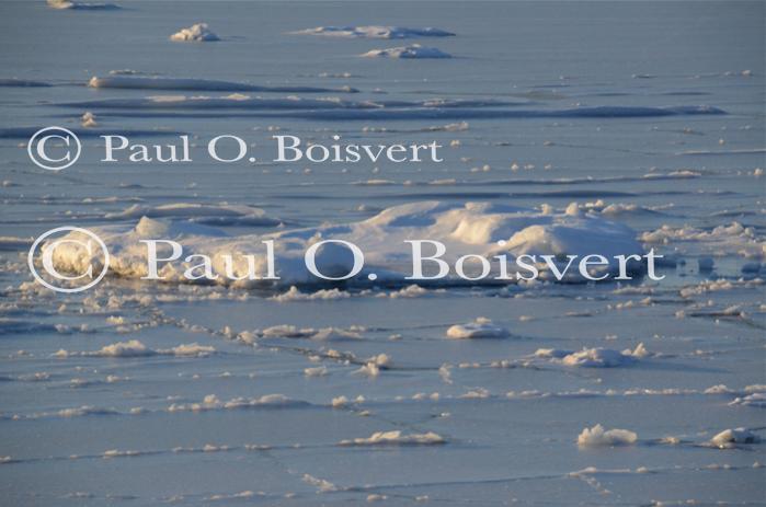 Lake Champlain 53-00-10593