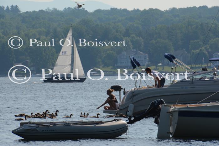 Lake Champlain 53-00-10617