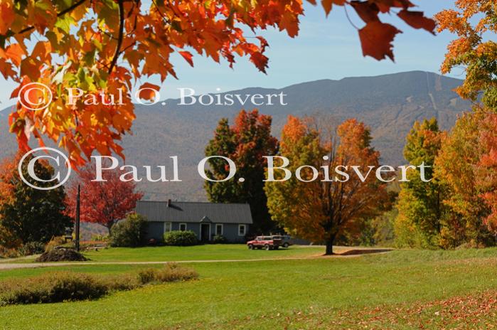 Scenery-Fall 70-05-14631