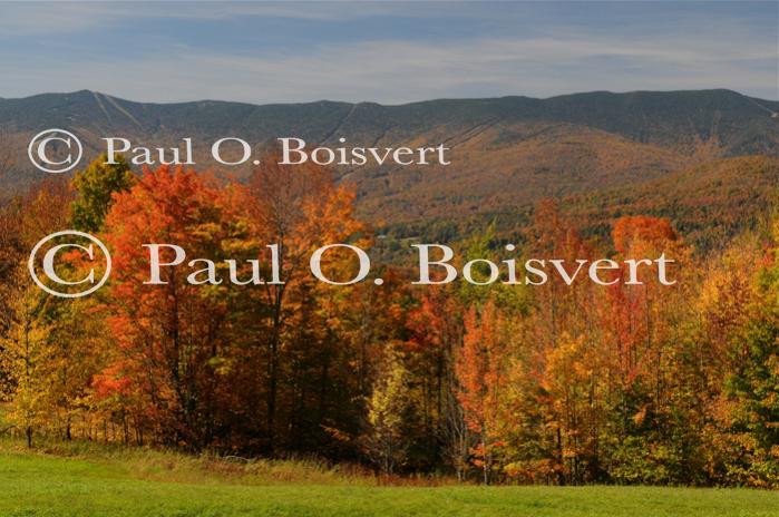 Scenery-Fall 70-05-14639