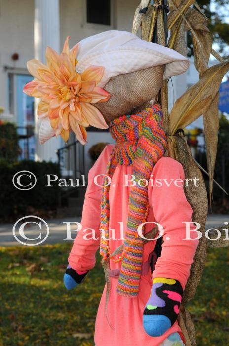 Scenery-Fall 70-05-14681