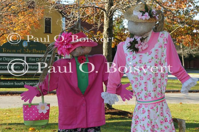 Scenery-Fall 70-05-14690