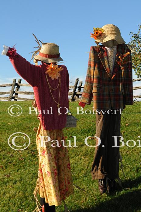 Scenery-Fall 70-05-14691