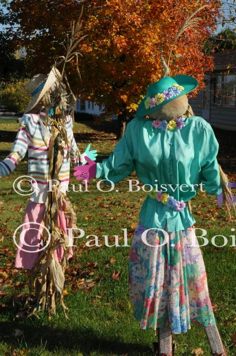 Scenery-Fall 70-05-14694