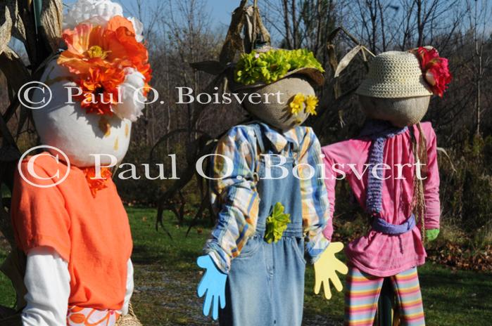 Scenery-Fall 70-05-14695