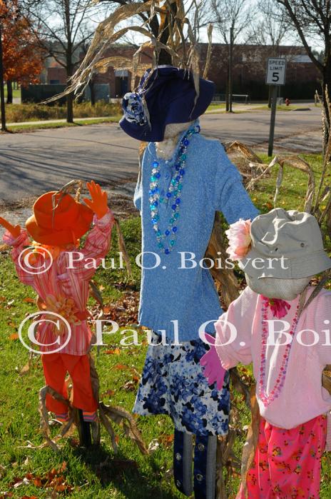 Scenery-Fall 70-05-14696