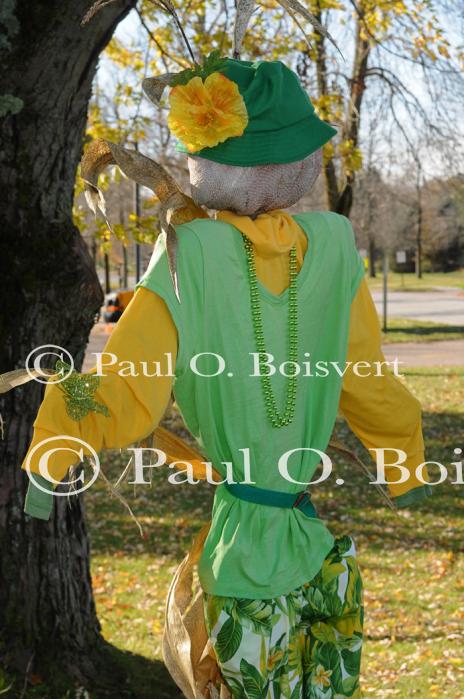 Scenery-Fall 70-05-14698