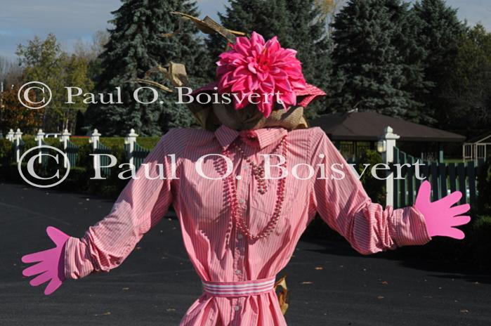 Scenery-Fall 70-05-14700